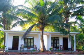 Shady mango villa